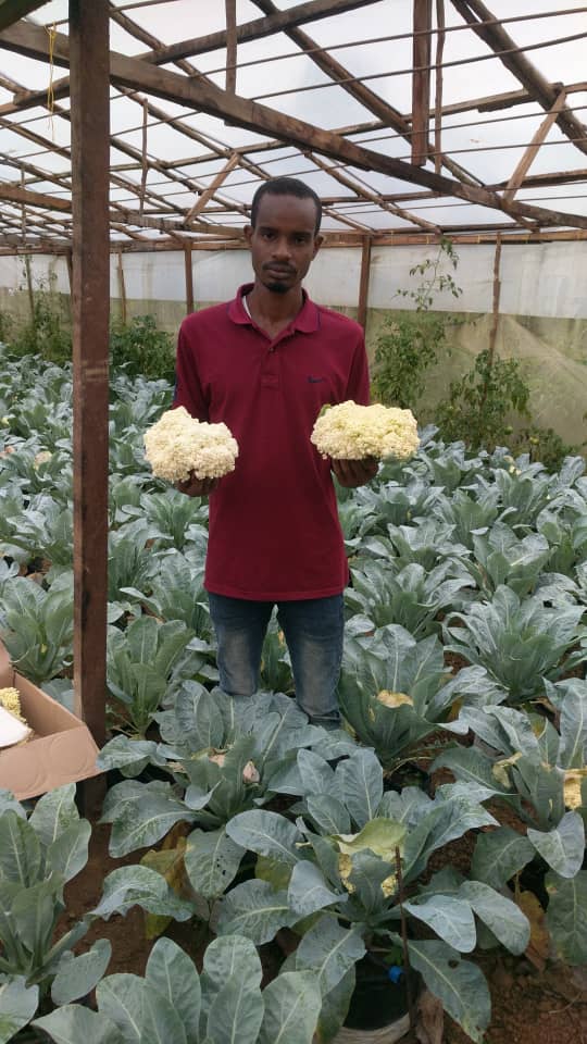 Agriculture NK TECH