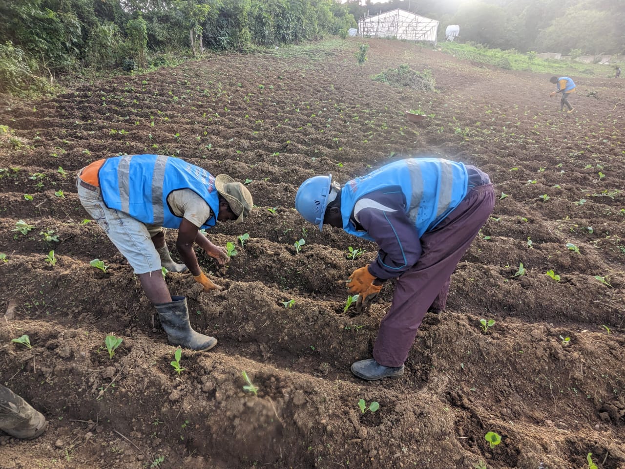 Agriculture NK TECH