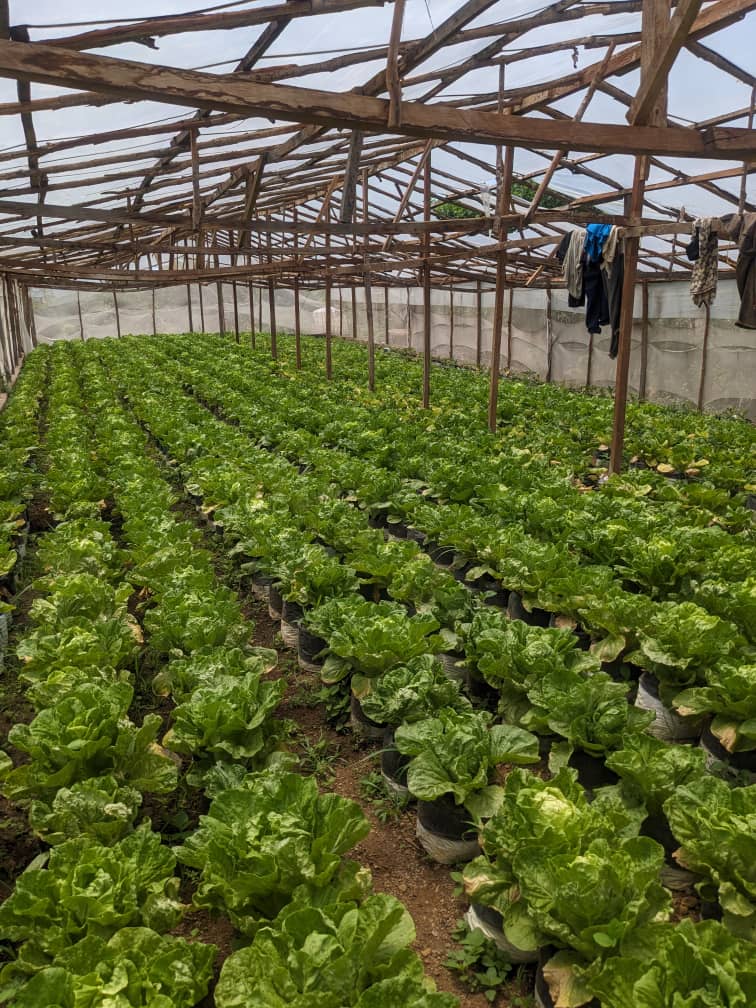 Agriculture NK TECH