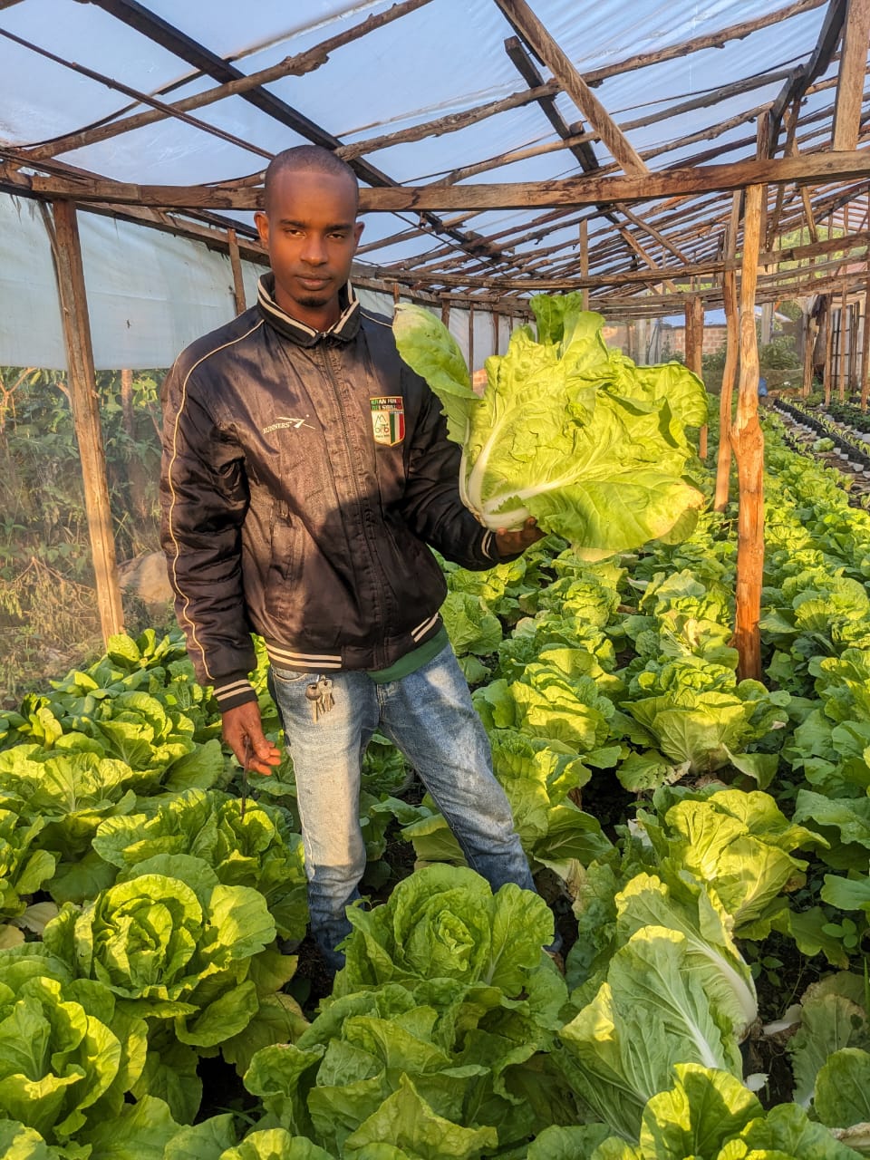 Directeur Agro-Business